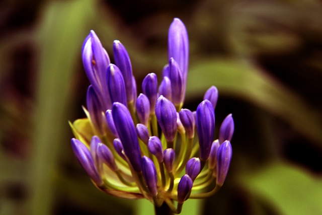 姆巴佩：不能把晋级世界杯当成理所当然；我们想拿到第三颗星